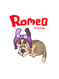 CUSTOM PET ART